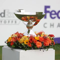 How much is the record-setting paycheck the FedExCup playoff winner will take home?