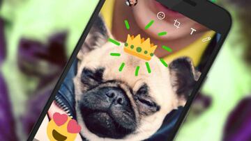 Los stickers de WhatsApp ya disponibles en la app oficial