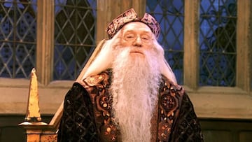 Harry Potter, Dumbledore