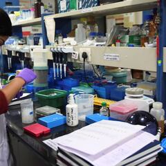 Los primeros 5 a 8 segundos, claves para la propagación del virus después de toser