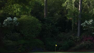 When Augusta National was created, more than 350 varieties of plants were planted, and the names of the courses were given in honor of the plant life around.