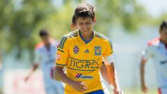 Tigres, nuevo líder general y único invicto en la Liga MX