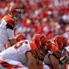 Previa de la temporada NFL-2015 Cincinnati Bengals