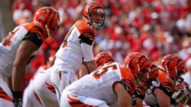 Previa de la temporada NFL-2015 Cincinnati Bengals