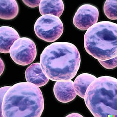 Buenas noticias en la lucha contra el cáncer: sorprendente descubrimiento de la ciencia