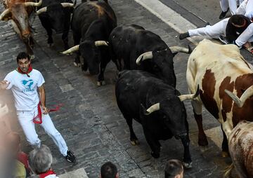 Imágenes del séptimo encierro de los Sanfermines 2022. La ganadería encargada de los toros de este séptimo encierro será la de Victoriano del Río, una de las más importantes del panorama taurino nacional.