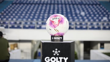 Estos serían los candidatos para la presidencia de la Dimayor.