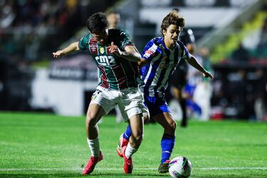 En Portugal ponen en duda el método que Anselmi trajo de México
