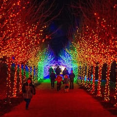 Where to see Christmas lights near me in the USA