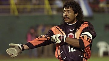 René Higuita durante un partido con Colombia
