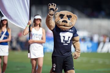 Las 18 mascotas de los equipos de la Liga MX