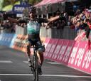 El calendario de Sagan: clásicas, Giro, Tour y Juegos