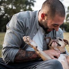 Piden confinar a las mascotas