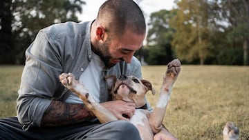 perro y hombre