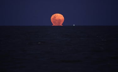 La 'Luna del Castor' sale por el Río de la Plata a su paso por la ciudad de Buenos Aires, Argentina.
