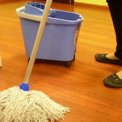 Ni EEUU ni Alemania: este es el país donde más se utiliza la fregona para limpiar