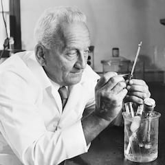 Albert Szent-Györgyi, Nobel de Medicina: “Cada mañana, sin falta, me levanto antes del amanecer y corro tres kilómetros, sin importar mi humor o el clima”