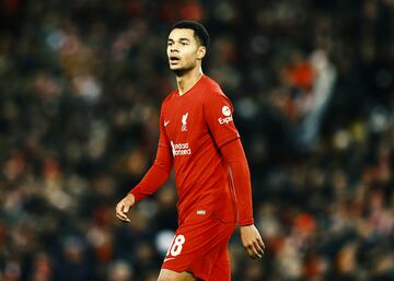 Se ha marchado del PSV Eindhoven para poner rumbo a Liverpool. El conjunto ingl¨¦s ha desembolsado m¨¢s de 40 millones de euros. Sus goles en el Mundial de Qatar le pusieron m¨¢s todav¨ªa en el ojo de los grandes clubes. Arsenal y Real Madrid tambi¨¦n sonaron para llevarse a Cody del PSV.