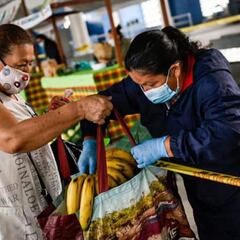 Pico y cédula en Ibagué: medidas, restricciones, rotación y cómo funcionará