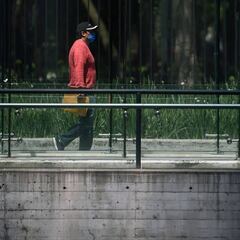 Créditos a la palabra del IMSS: ¿hasta cuándo puedo recibirlos?