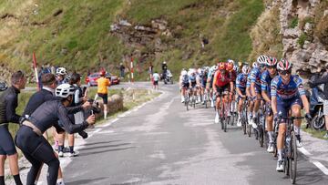 El pelotón de ciclistas durante la vigésima y penúltima etapa de la 79 Vuelta a España.