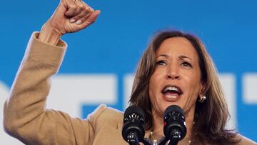 Kamala Harris has two stepchildren, Cole and Ella Emhoff, children of her husband Douglas Emhoff. Discover the interesting origin behind the family names.