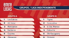 Ya están definidos los grupos del Clausura en la LIF