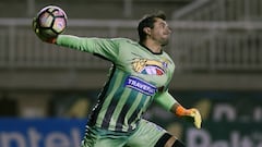 Los croatas del deporte chileno