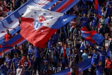 Las mejores imágenes del Banderazo azul