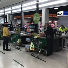 Señala varios artículos que vende Mercadona y que son geniales para perros