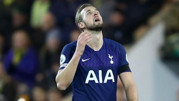 Kane to undergo hamstring surgery
