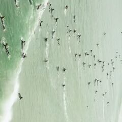 Mundaka abre temporada con olas perfectas y overbooking