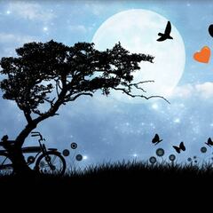 San Valentín 2018: las mejores frases para celebrar el Día de los Enamorados