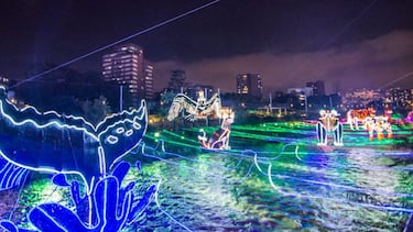 Le preguntamos a la IA por el mejor destino para pasar la Navidad en Colombia y esta fue su elección