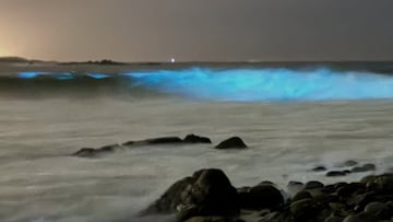 Olas bioluminiscentes en Chile