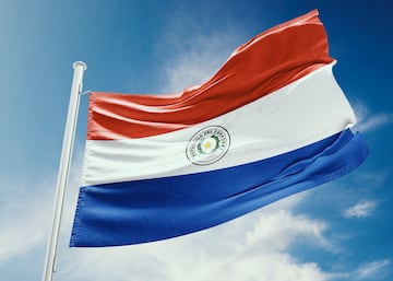 La bandera de la República del Paraguay es la única bandera del mundo que es diferente en el anverso y en el reverso. En el anverso presenta un escudo, con dos ramas de palma y olivo que se curvan en forma de una corona, rodeando a una estrella de oro y con la divisa "República del Paraguay". En el reverso lleva otro escudo con la imagen de un león acompañado de un gorro frigio y la inscripción “Paz y Justicia”.