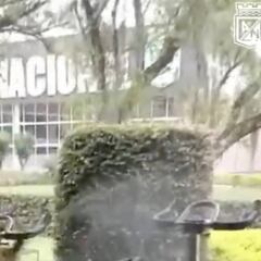 Nacional desinfecta su sede para prevenir el coronavirus