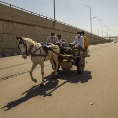 Coronavirus: total India cases and deaths, real-time map, 28 March