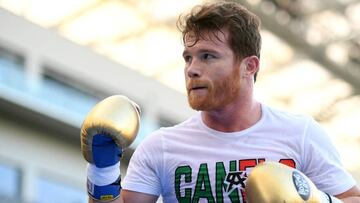 Canelo Álvarez podría tener su propia bioserie