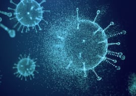 La OMS alerta por un brote del letal virus Nipah