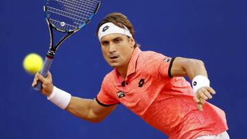 David Ferrer.