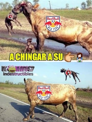 Los memes no paran de reír por la eliminación de Tigres y Xolos