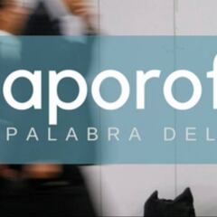 Aporofobia, la palabra de 2017 para la Fundéu