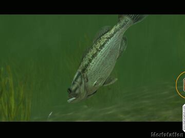 Captura de pantalla - rapala_0014.jpg