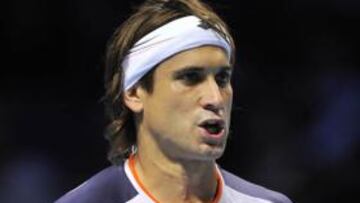 Un grandísimo Ferrer acaba con Djokovic en dos sets