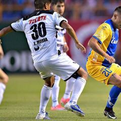 Antofagasta se refuerza con chileno que actuaba en México