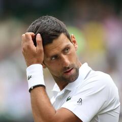 Djokovic: "Bautista es un jugador muy infravalorado; le respeto"