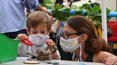 What is the vaccine mandate for schools in New York?