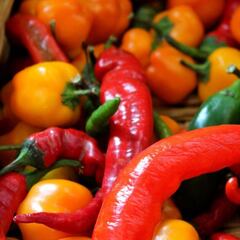 Por qué en México la comida es tan picante y cuál es el origen