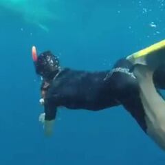 Sergio Ramos y Pilar Rubio se divierten entre tiburones